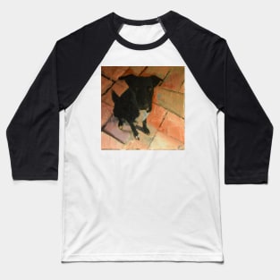 Black Dog On Tiled Floor Baseball T-Shirt